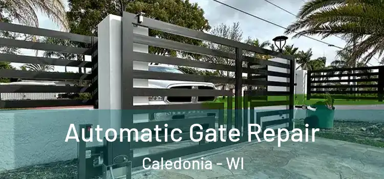 Automatic Gate Repair Caledonia - WI