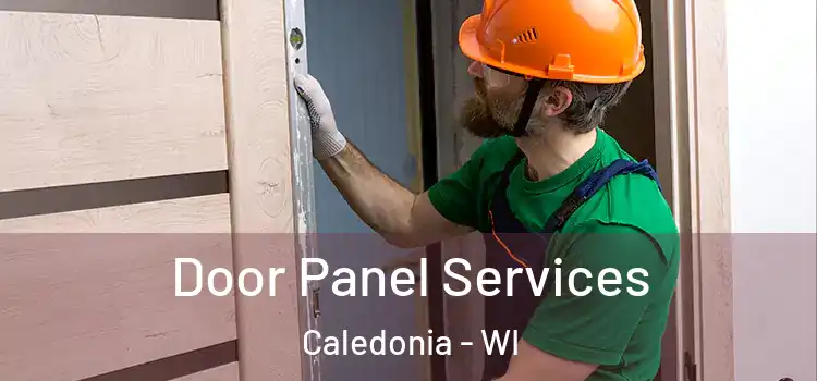 Door Panel Services Caledonia - WI
