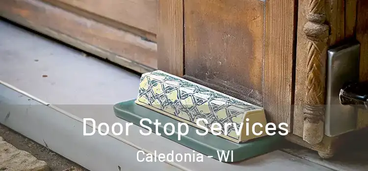 Door Stop Services Caledonia - WI
