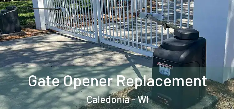 Gate Opener Replacement Caledonia - WI