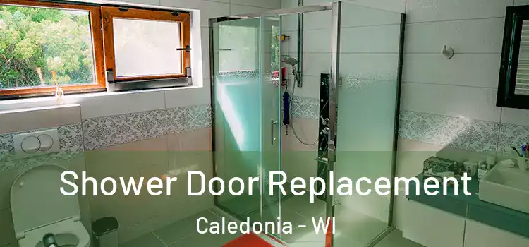 Shower Door Replacement Caledonia - WI